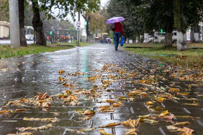 В Туле 26 октября ожидается +4 и дождь