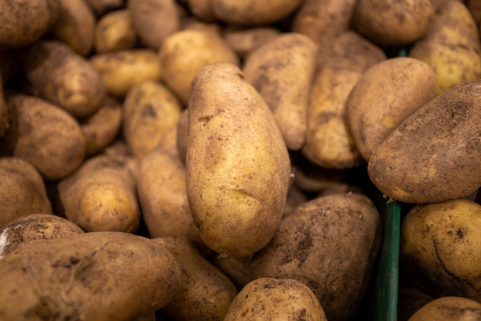 В Киреевском районе полицейские раскрыли кражу картофеля