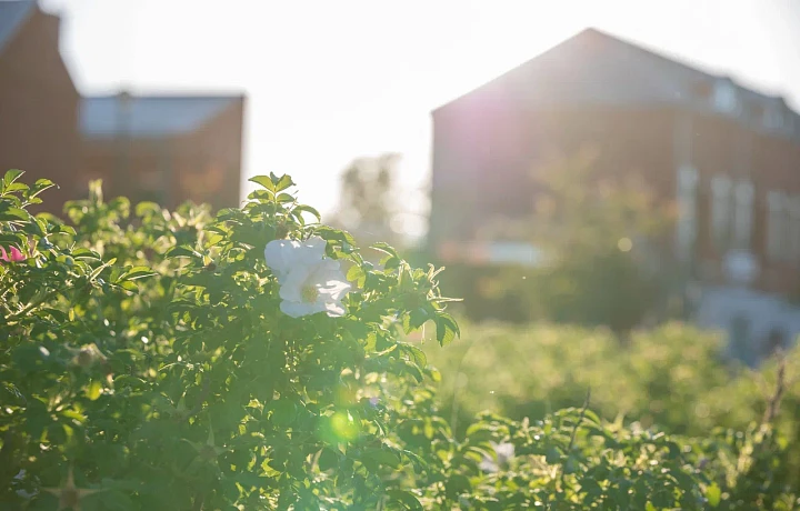 В Тульской области 23 июля ожидаются геомагнитные возмущения