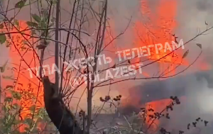 В Тульской области пожарные ликвидировали возгорание в самовольной постройке