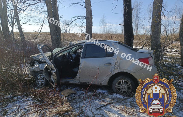 Водитель на Renault не справился с управлением и врезался в дерево в Щекинском районе