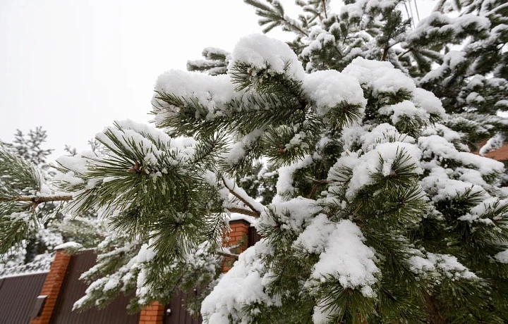 Без осадков и до -25 градусов: синоптик Ильин рассказал, какая погода ждет туляков в выходные