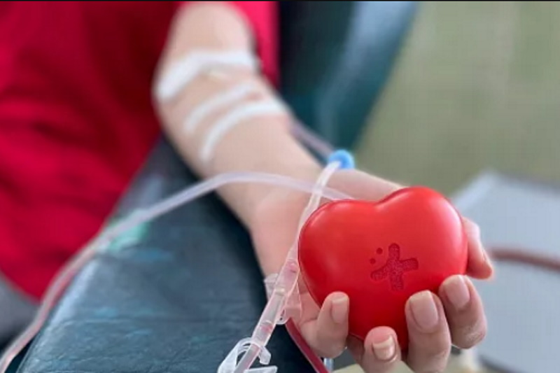 260 туляков сдали кровь в рамках Дня донорского совершеннолетия