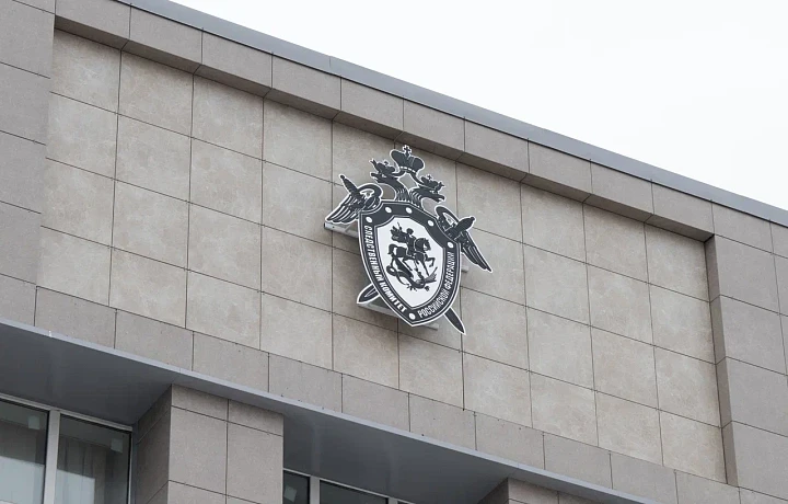 Бастрыкин взял под контроль дело о пропавшем подростке из Донского