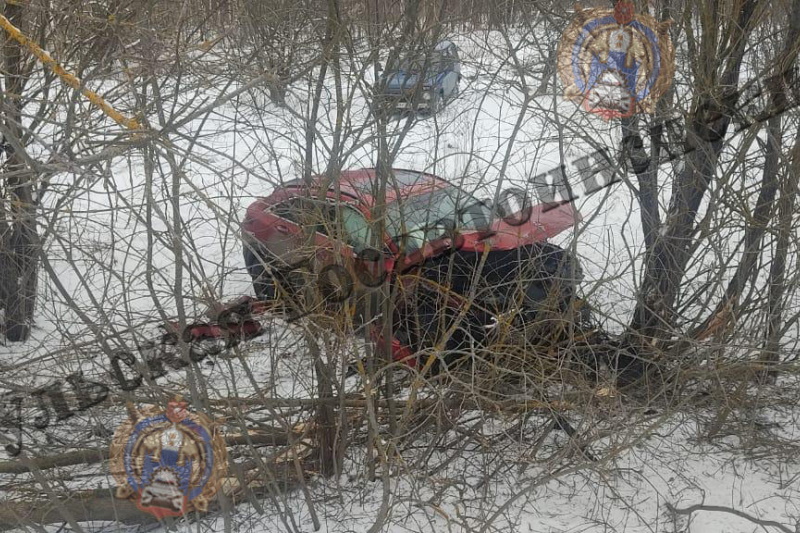 В тульском поселке Дубна автомобиль Infiniti вылетел в кювет и врезался в дерево