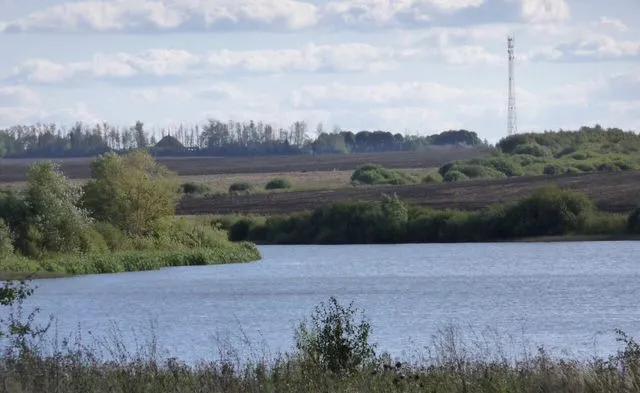 В Тульской области выставили пруды на продажу