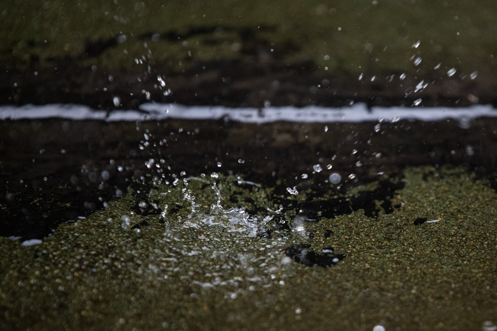 Небольшой дождь и потепление до +25 градусов ожидаются в Туле 6 июня