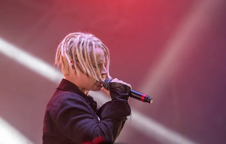 Песни SHAMANa и Газманова могут войти в школьную программу