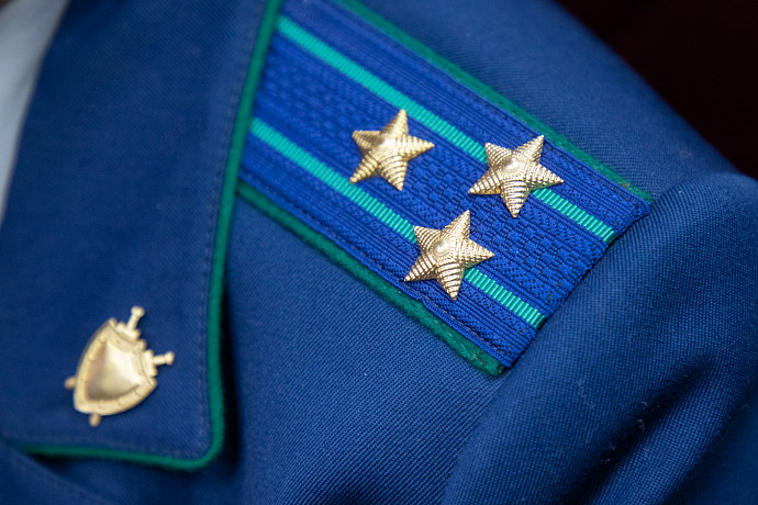 В Дубенском районе заблокирован сайт, на котором предлагалось обналичить материнский капитал