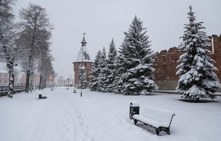 В Туле за сутки произошел один пожар и 25 ДТП