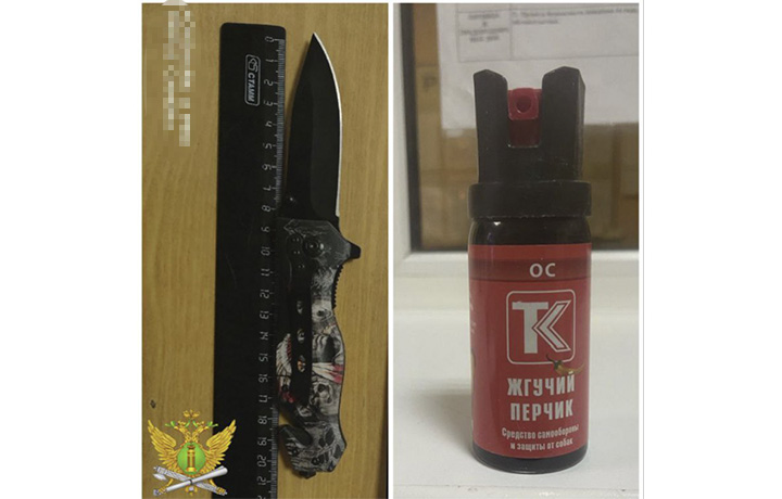 Жители Тульской области пытались пронести в суд нож и перцовый баллончик