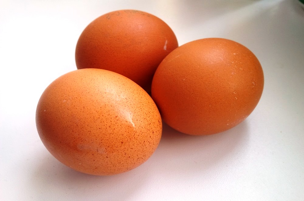 ﻿За год в Тульской области вырос объем производства яиц