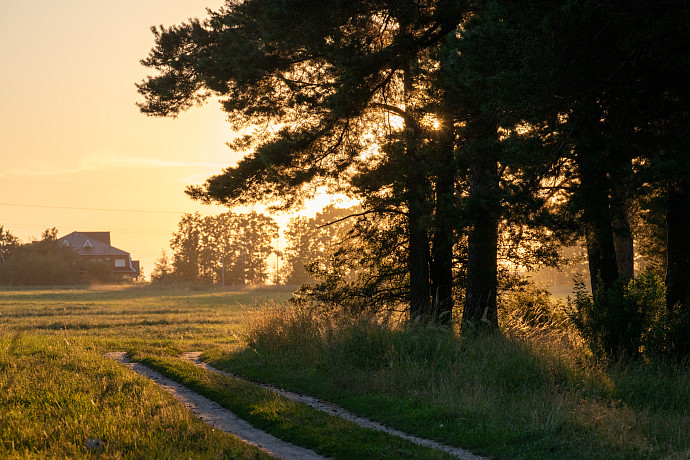 3 августа в Туле ожидается +26 без осадков