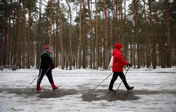 Несколько спортивных мероприятий для пожилых людей пройдет в Тульской области до конца года