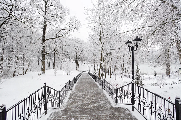 7 февраля в Туле похолодает до -8 градусов