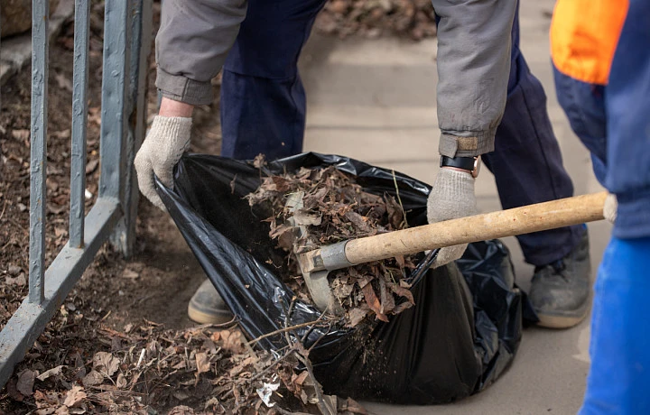 Названы районы-лидеры Тульской области по числу решенных за неделю проблем