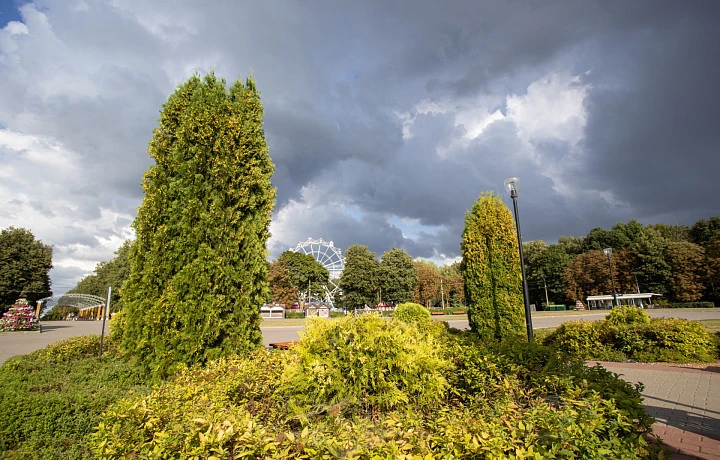 В ближайшие 3 часа в Тульской области ожидается гроза