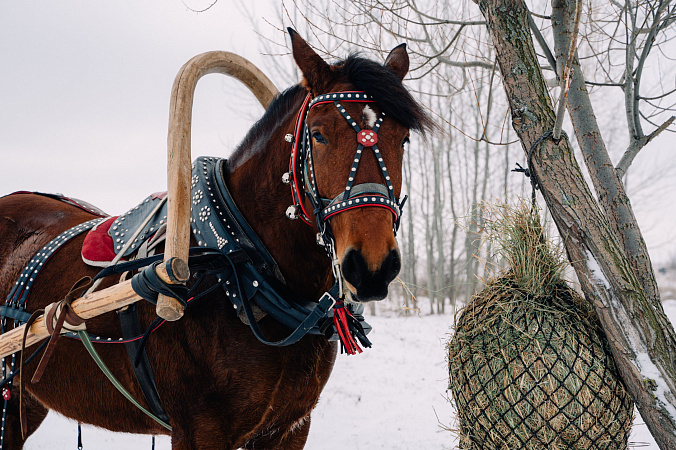 На Куликовом поле впервые отметят Богатырскую Масленицу