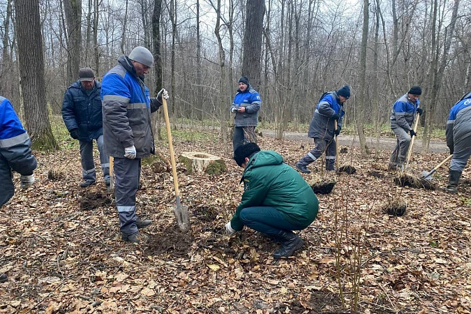 Туляков приглашают на Международную акцию «Сад памяти»