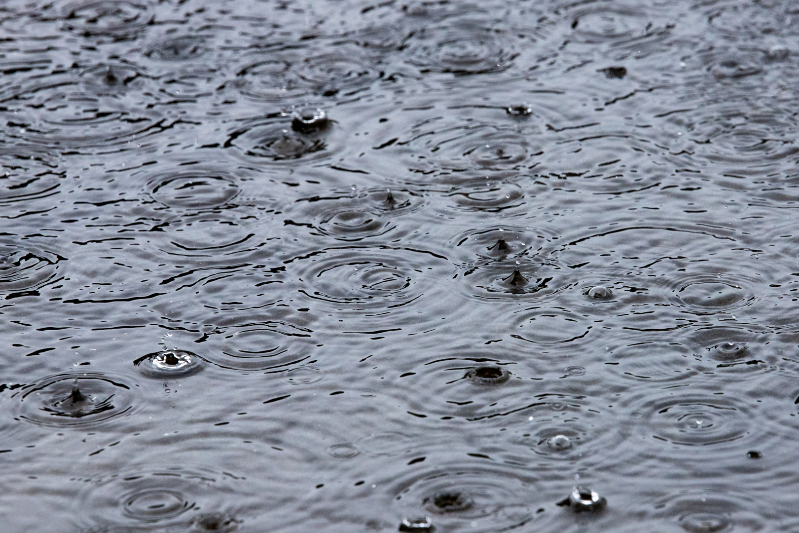 В Туле и области объявили метеопредупреждение из-за сильного дождя