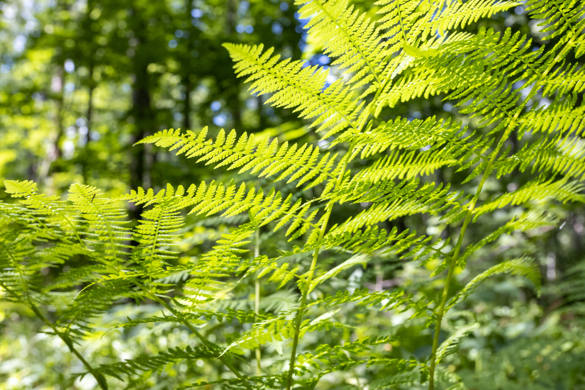 Тулякам рассказали, почему 25 июля не стоит начинать новые дела