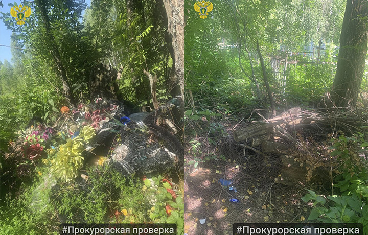 Прокуратура нашла нарушения на кладбище в Белевском районе