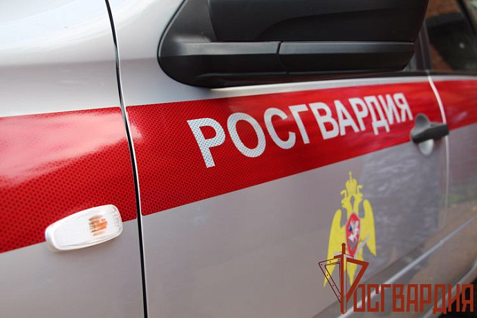 Тульские сотрудники Росгвардии задержали хулигана