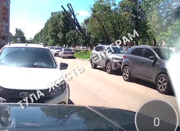 В Туле дерево упало на легковой автомобиль