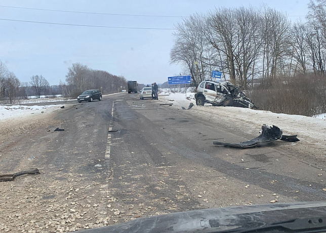 В Тульской области 35-летняя женщина скончалась после ДТП с фурой