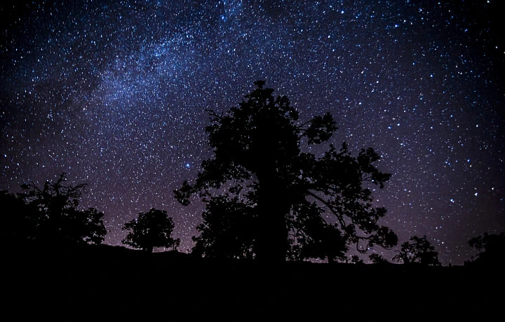 Туляки смогут увидеть «голубую» Луну в ночь на 31 августа