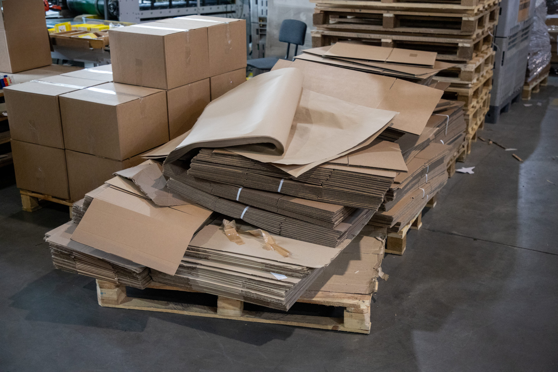 Тулякам рассказали, куда сдать макулатуру 