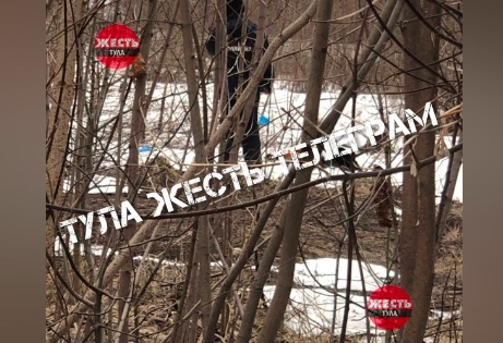 В Туле в Ивановских дачах обнаружен труп