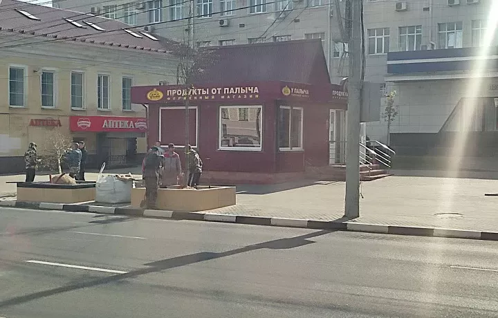 Кабельные линии поднимут в Туле в 2023 году для озеленения проспекта Ленина