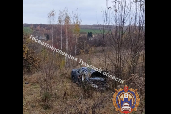 Нетрезвая автоледи устроила ДТП в Дубенском районе, пострадали двое детей