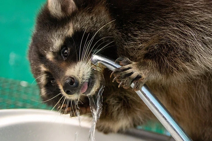 О качестве тульской питьевой воды рассказал «Тулагорводоканал»