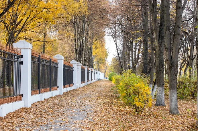 Метеоролог заявил, что Центральную Россию ждет резкий переход в осень из лета