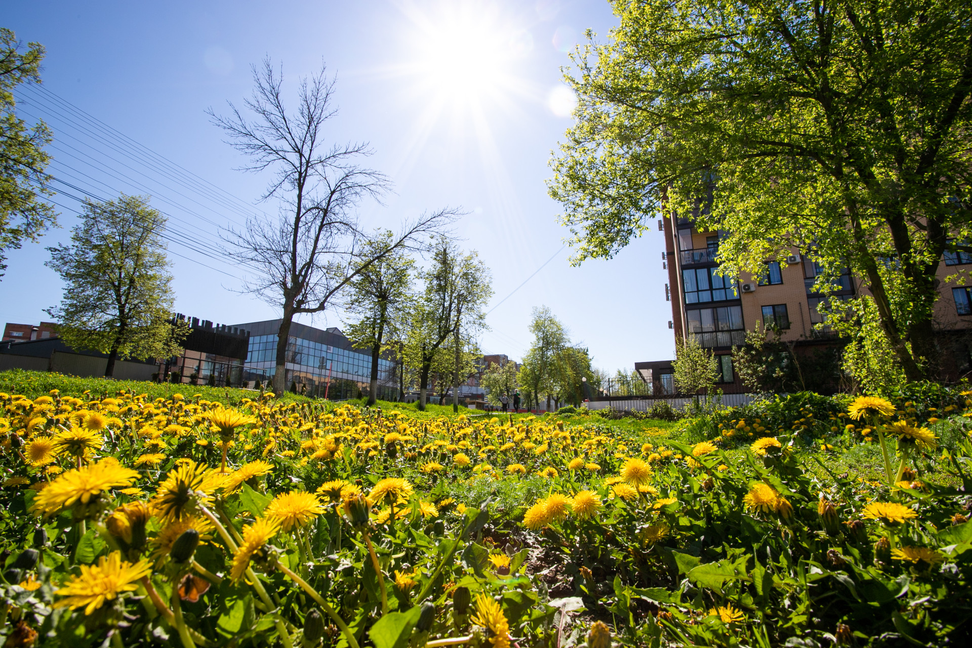 До +21 градуса и ночные дожди ожидаются в Туле и области 2 июня