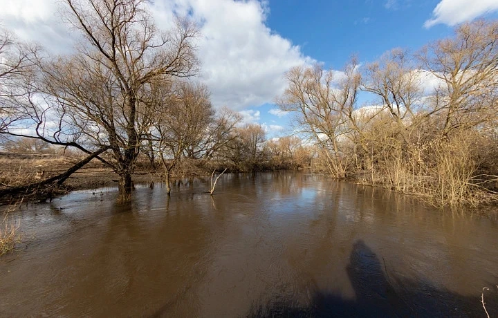 Паводковая обстановка в Тульской области находится в пределах нормы