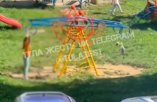 Девочка издевалась над собакой на площадке в Туле