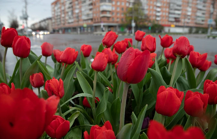 Дождливо и пасмурно: стало известно, какая погода будет в Тульской области с 23 по 27 июня