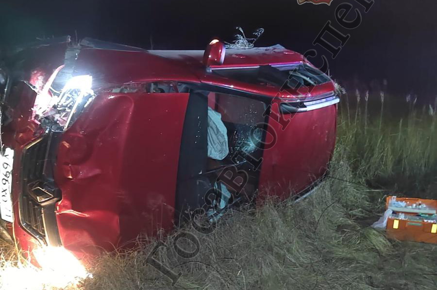 В Веневском районе девушка на Renault Sandero съехала в кювет и ...