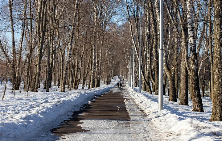 В последние два дня рабочей недели распогодится: синоптик Ильин рассказал тулякам о погоде с 7 по 11 апреля