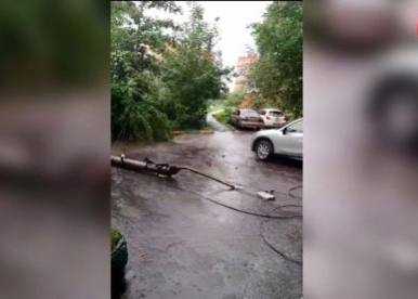 В Туле на припаркованные автомобили рухнули столб и дерево