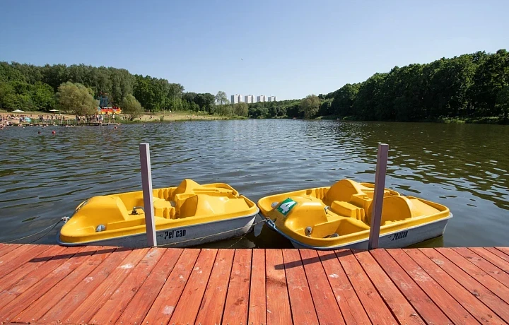 На тульские пляжи завезут 300 тонн речного песка к купальному сезону