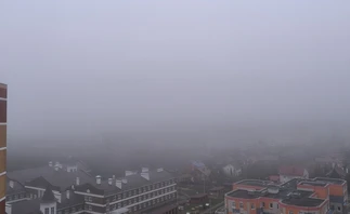 Туман накроект Тульскую область в первый день зимы