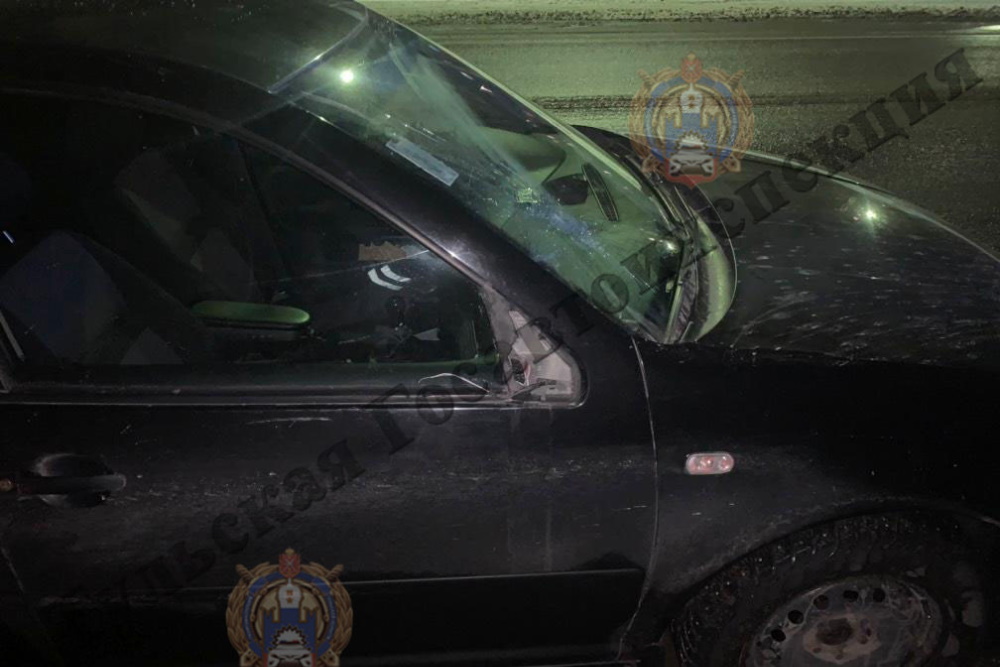На трассе &quot;Тула – Новомосковск&quot; автомобиль Volkswagen Golf сбил пешехода