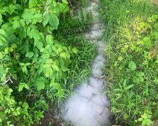 Ручей в Новомосковске окрасился в молочный цвет