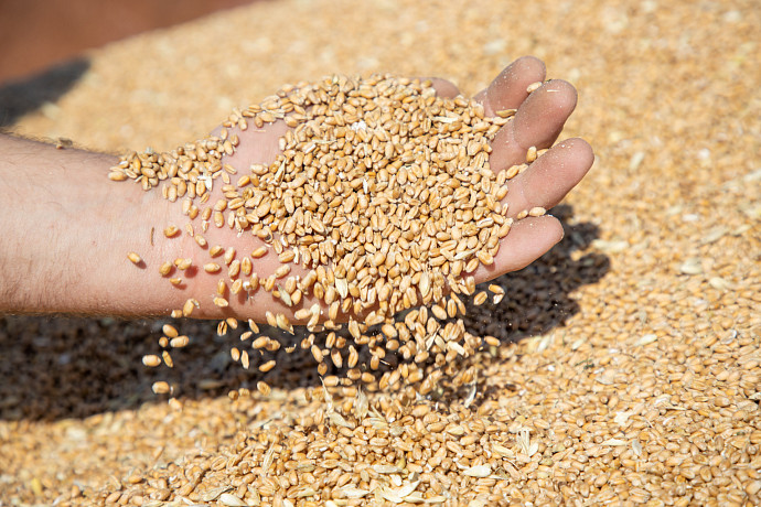 В Тульской области более 1,7 гектаров земель сельхозназначения заброшены