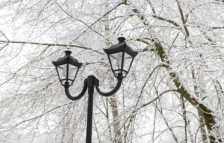 За порядком в Туле 26 ноября проследит Максим Шишкин