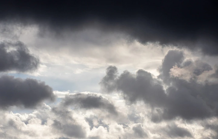 Тулякам рассказали о погоде 7 декабря